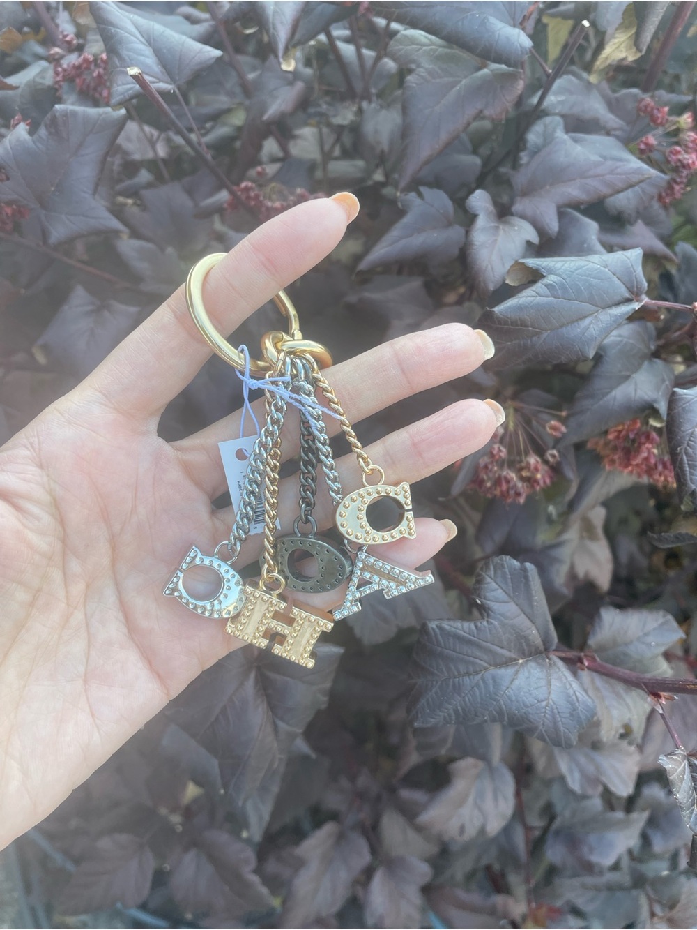 Coach Gold and Silver Charm Keyring with Multicolor Letter Charms